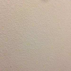 Meet your Posher, Sandy